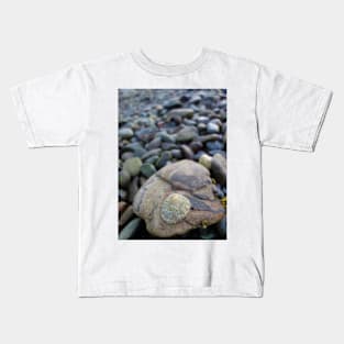 Limpet on a Stony Shore Kids T-Shirt